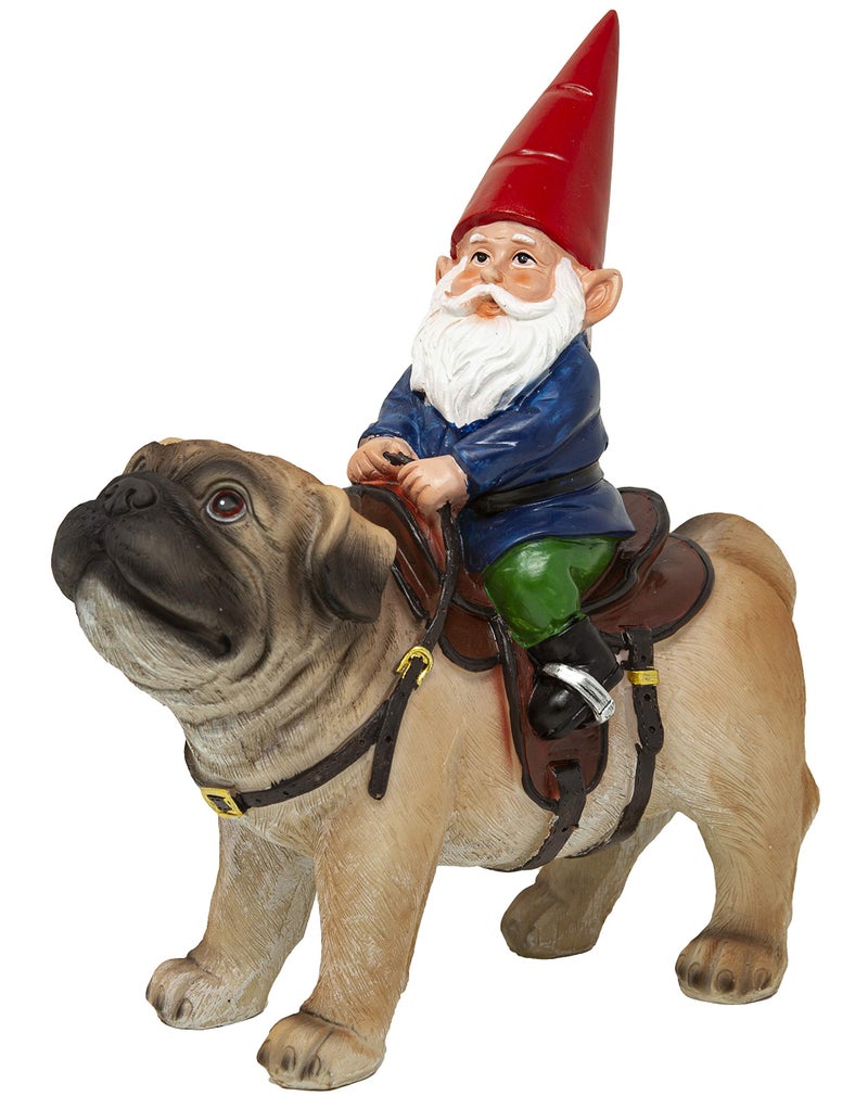 Funny Guy Mugs Garden Gnome Statue - Gnome Riding a Pug - Indoor/Outdoor Garden Gnome Sculpture for Patio, Yard or Lawn - Image 1